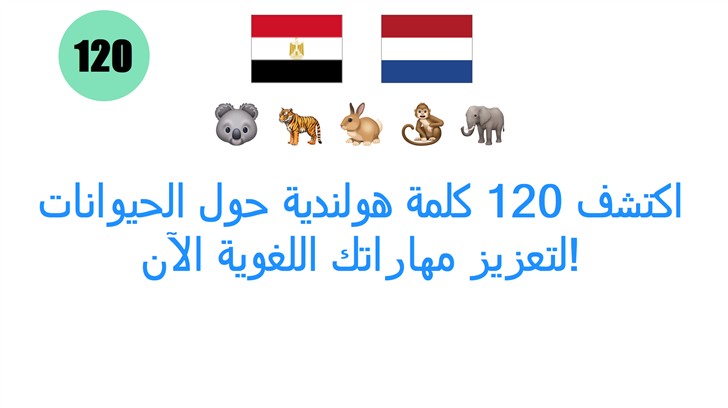 اكتشف 120 كلمة هولندية حول الحيوانات لتعزيز مهاراتك اللغوية الآن!